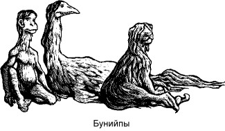 = Бунийпы