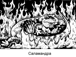 = Саламандра